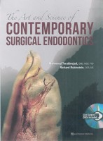 The Art And Science Of Contemporary Surgical Endodontics