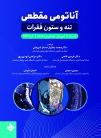 آناتومی مقطعی تنه و ستون فقرات